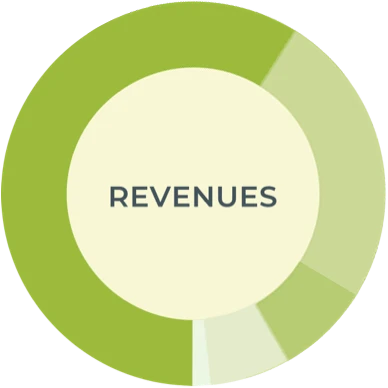 Graph showing revenue breakdown. Breakdowns also provided in statistics text, beside or below graph.